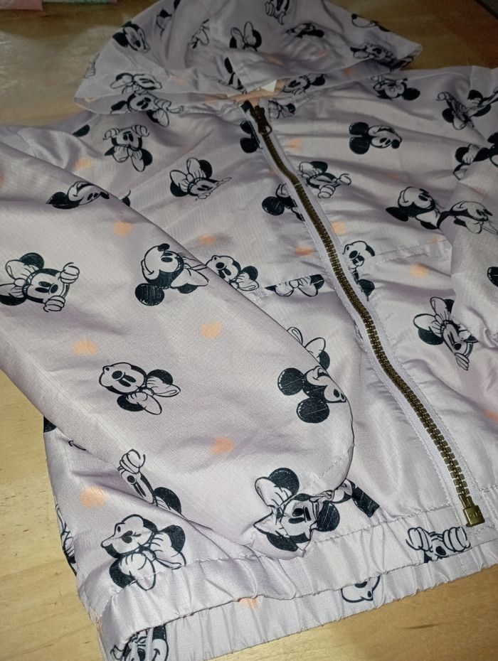 Coupe vent - photo numéro 2