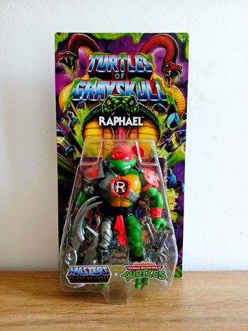 Figurine Raphael Turtles Of Grayskull Mattel