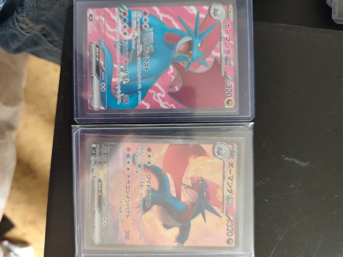 Duo pokémon - photo numéro 5