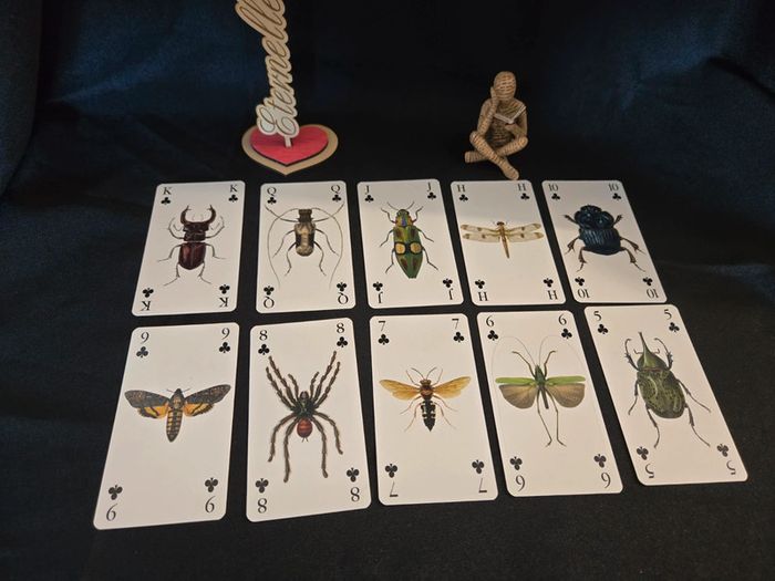 Tarot de la réincarnation - photo numéro 10