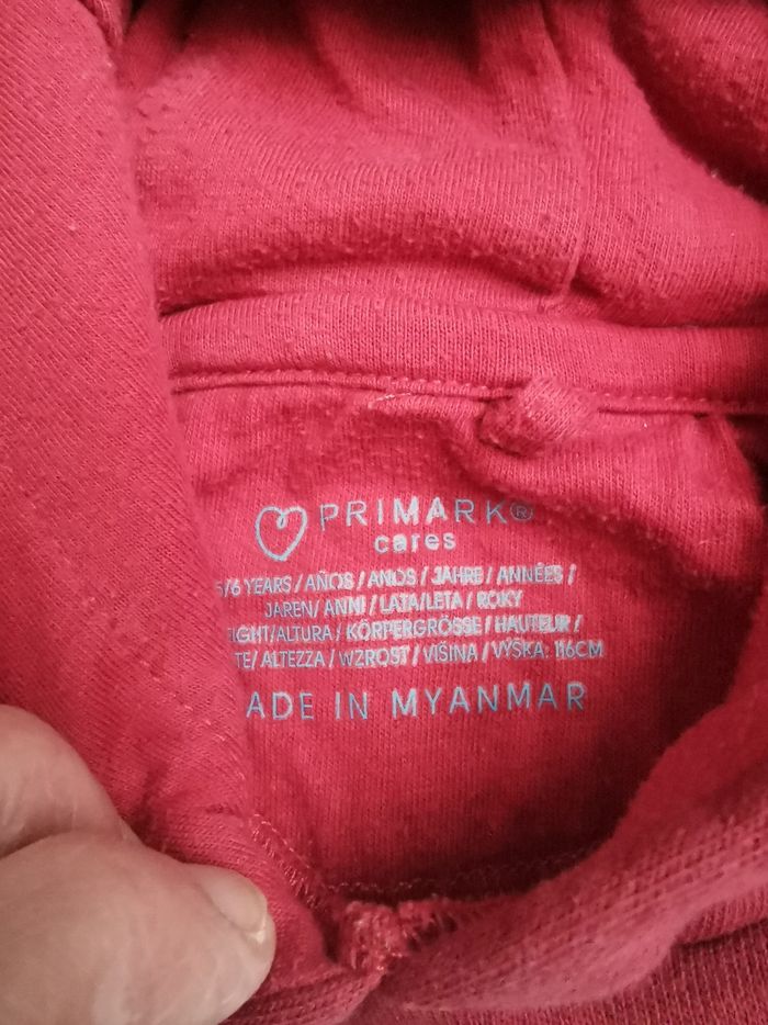 Sweat shirt à capuche - photo numéro 2