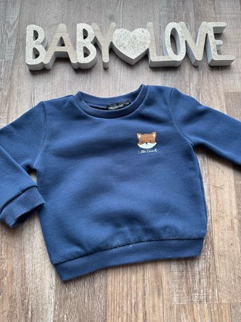 - Pull In extenso  - 9 mois - Très bon état 