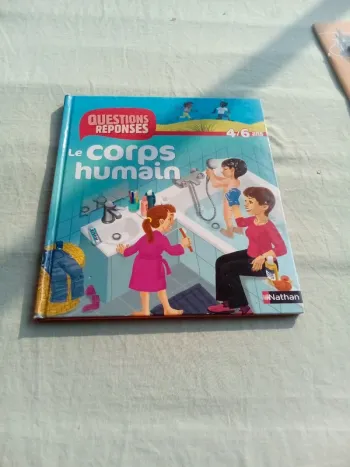 Questions réponses le corps humain