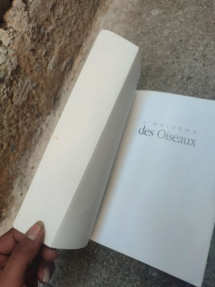 Livre l'univers des oiseaux - photo numéro 6