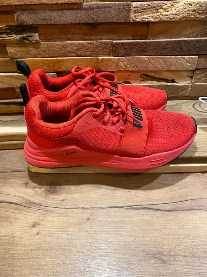 Basket puma