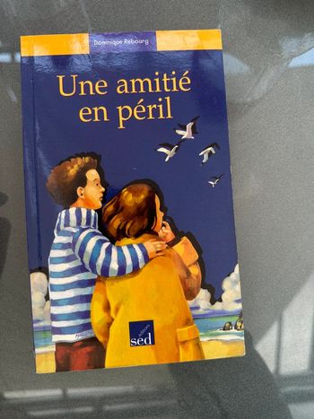 Une amitié en péril -Dominique Rebourg