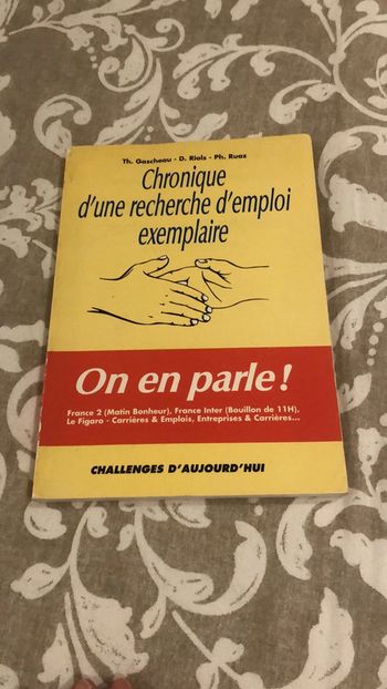 Livre chronique d’une recherche d’emploi exemplaire