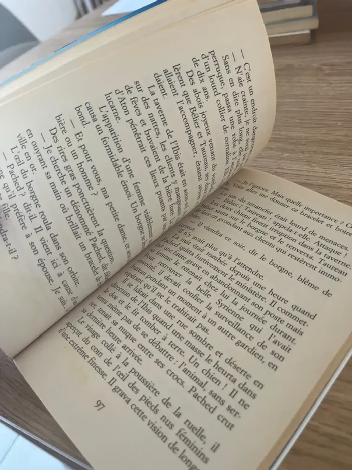 La reine soleil - photo numéro 3