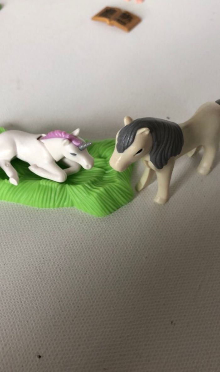 Playmobil - photo numéro 9