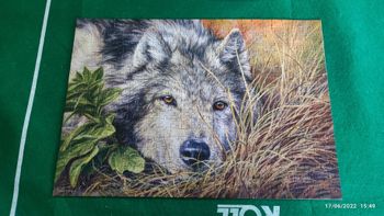 Puzzle loup