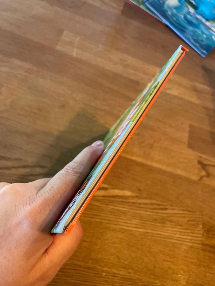 Livre collection Les animaux du zoo Ray le cheval avec une figurine cheval - photo numéro 9