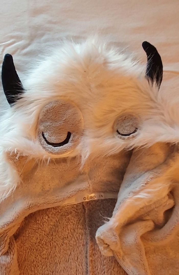 Surpyjama / combinaison - photo numéro 4