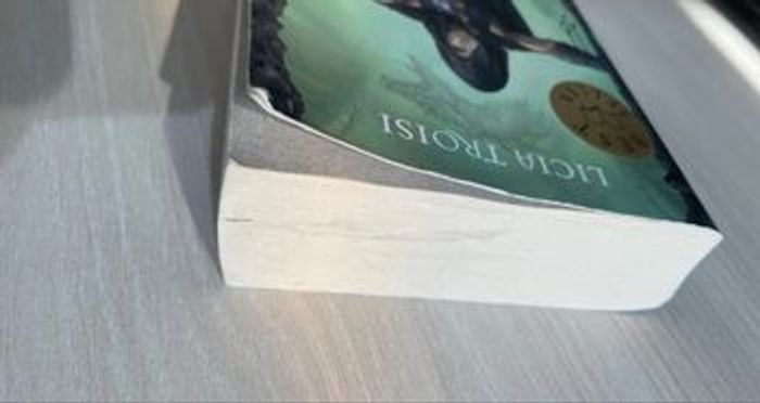 Livre Guerre du monde émergé - photo numéro 3