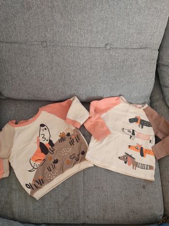 Pull + tee-shirt manches longues taille 18 mois