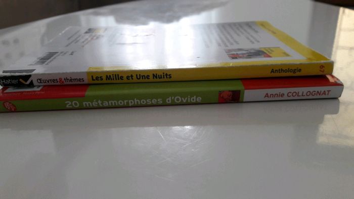 📚 Lot 2 classiques pour la 6ème - photo numéro 5