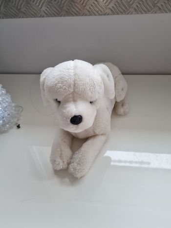 Chien allongé dalmatiens