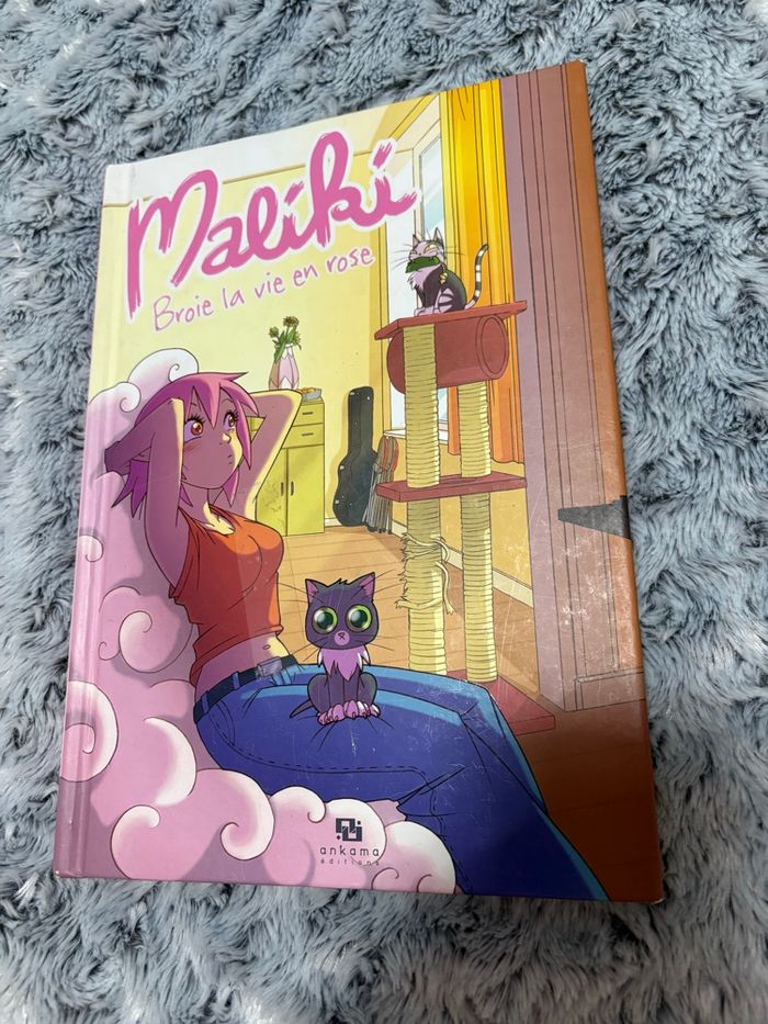 Livre - photo numéro 4