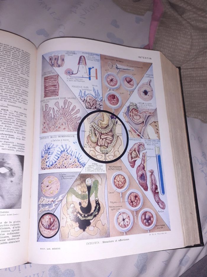 Nouveau larousse médical 1952 - photo numéro 7