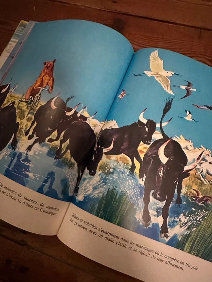 Pierre Probst Caroline - livre ancien Fanfan et l’ours de Camargue grands albums Hachette - photo numéro 5