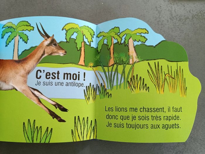 Livre enfant devine qui est le plus rapide - photo numéro 2