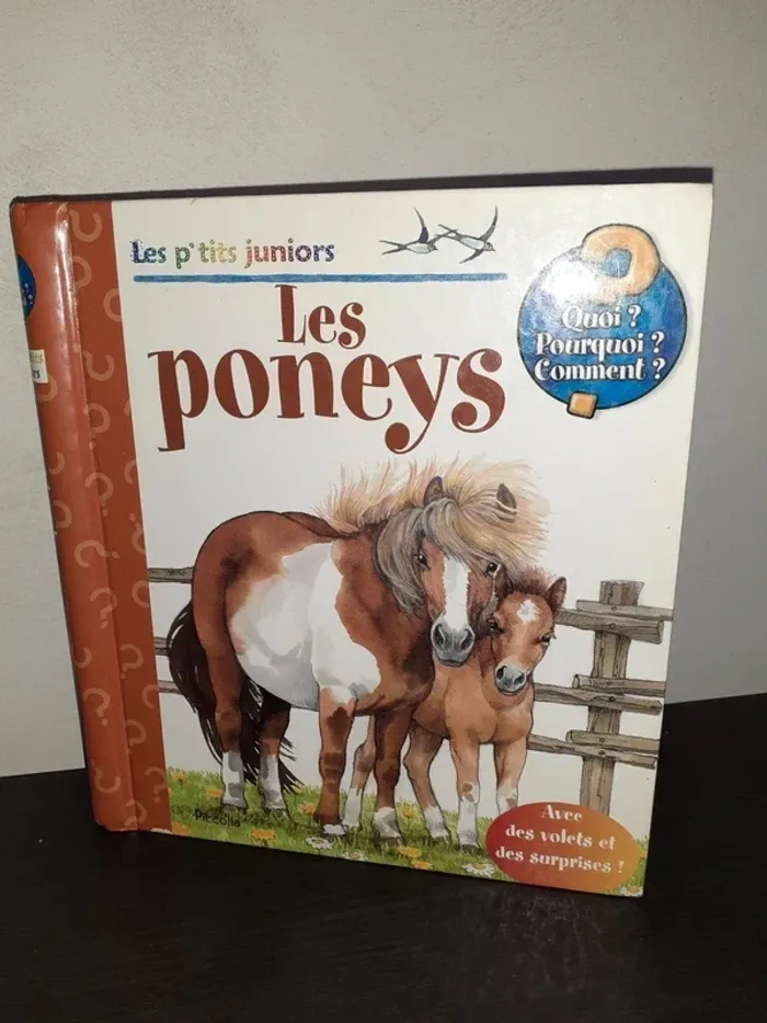 Les p'tits juniors Les poneys