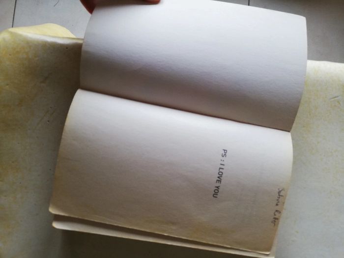 Roman ce comédie moderne. Cecelia Ahern - photo numéro 4