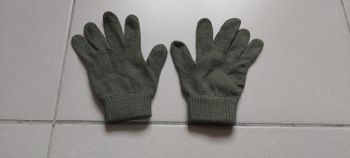 Gant vert