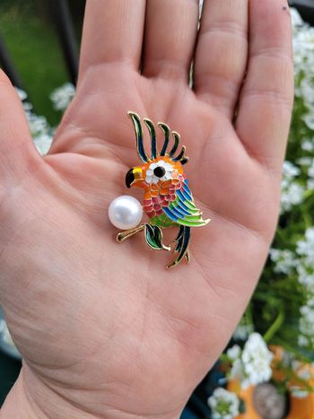 Broche perroquet multicolore et perle.