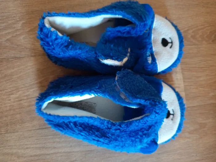 Chaussons T29 très bon état - photo numéro 2