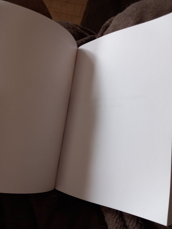 La princesse qui descendait de la colline - Didier Naud - photo numéro 5