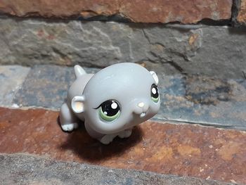 Figurine Petshop.  C Paris