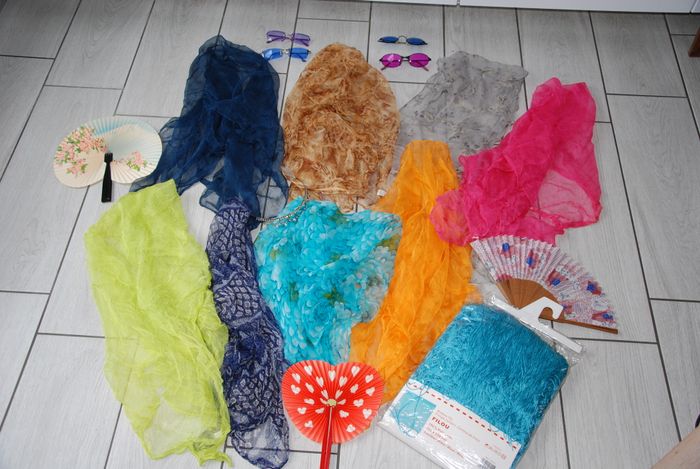 lot accessoire fête anniversaire Evjf déguisement, séance photo jour de l'an