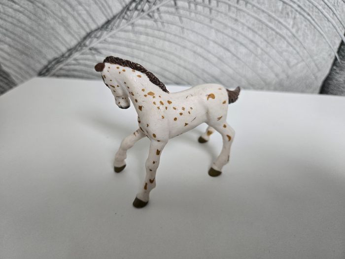 PAPO - photo numéro 2