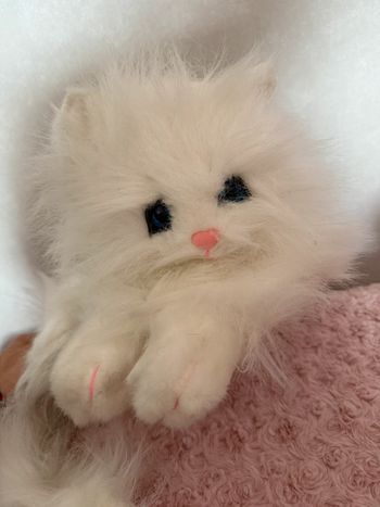 Peluche chat 🐱 trop mignon