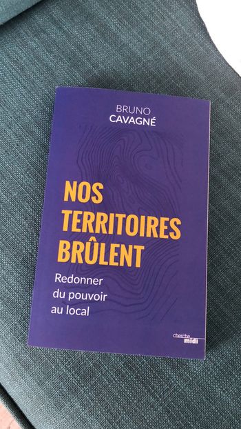 Bruno Cavagné - nos territoires brûlent - État Neuf