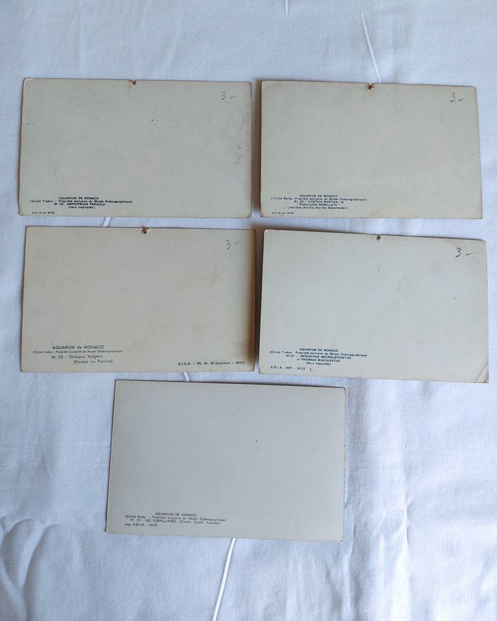 Lot 5 Cartes postales anciennes CPA Aquarium de Monaco - photo numéro 5