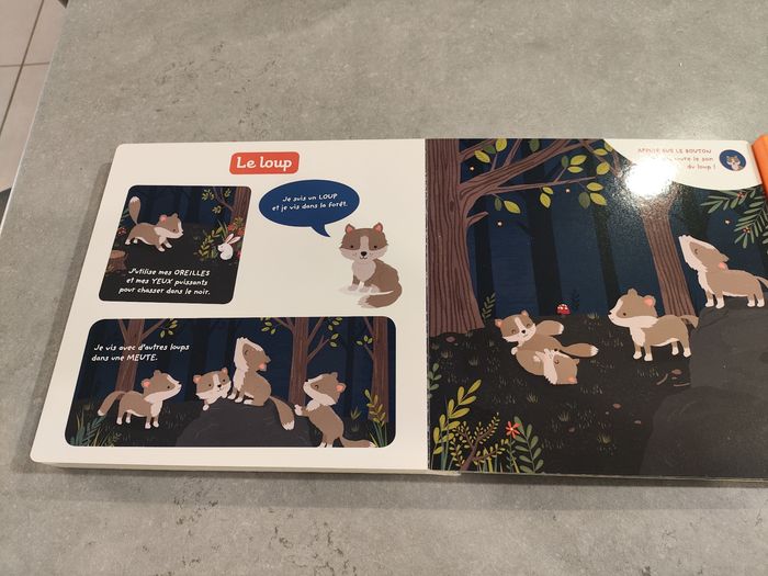 Livre musical bébé – Auzou Éveil – Animaux de la nuit - photo numéro 9