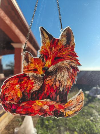 Attrape Soleil Renard