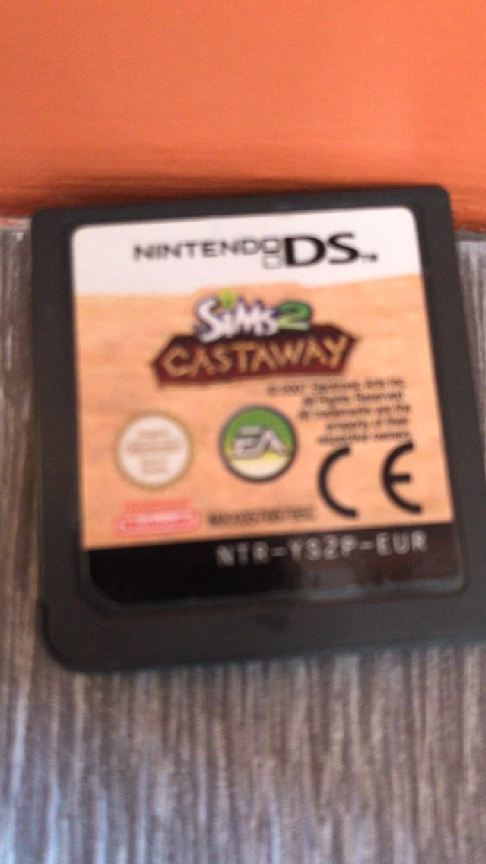 Jeu nintendo DS Sim2 Castaway - photo numéro 2
