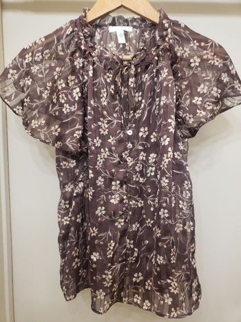 Chemisier transparent