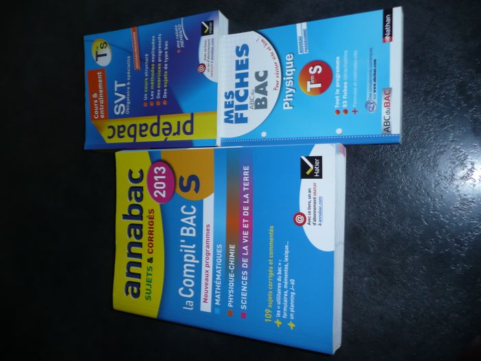 Lot de 17 annales (classe terminale) - photo numéro 6