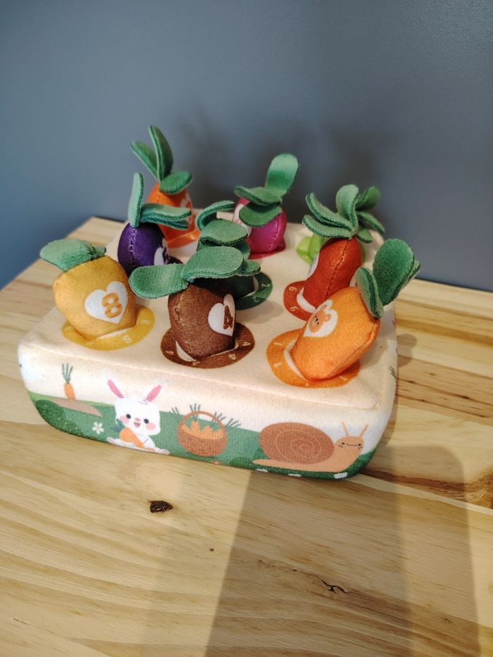 Jeux récoltes carottes