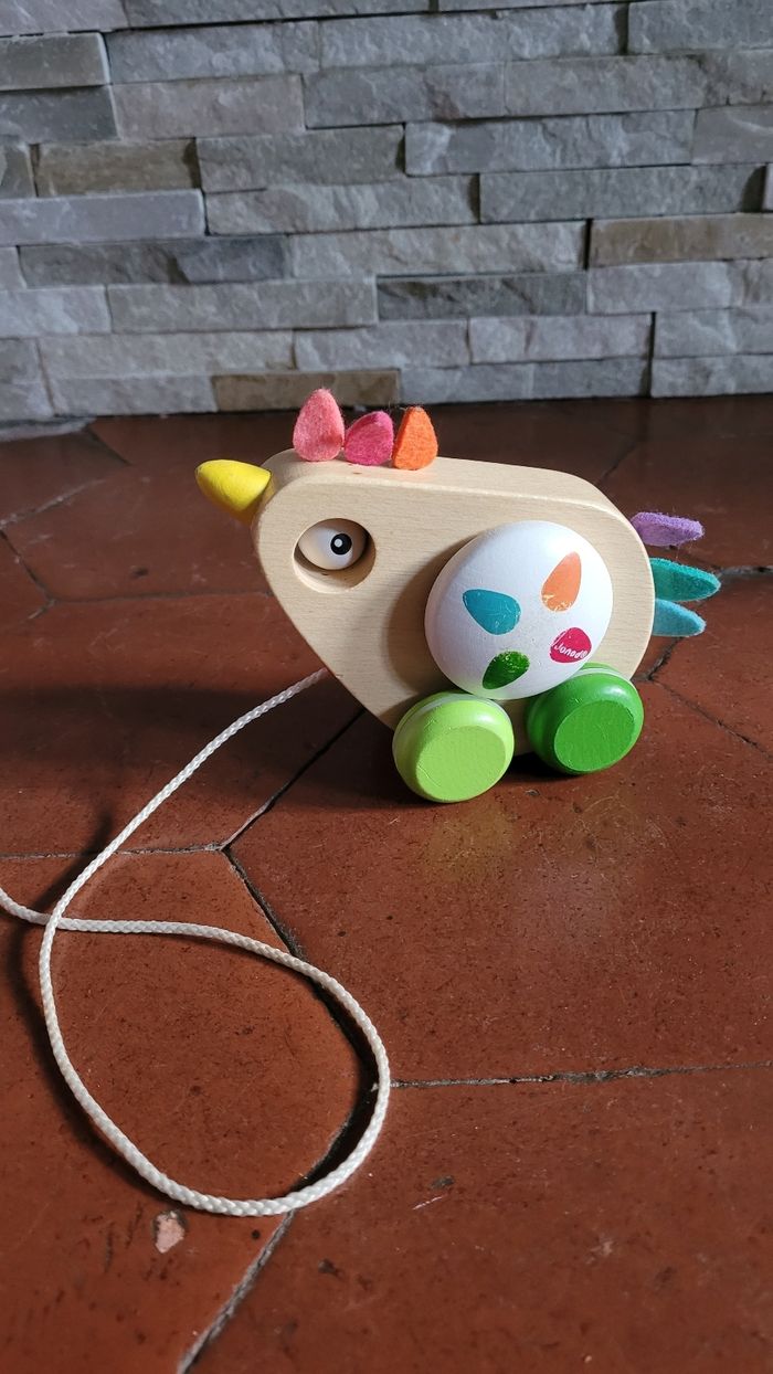 Poule bois