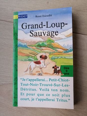 Livre Grand-Loup-Sauvage de René Escudié en très bon état