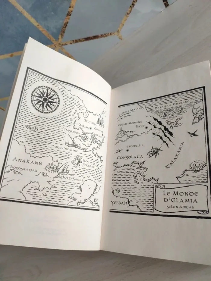 Livre grand format Elamia intégrale Wietzel fantasy - photo numéro 8