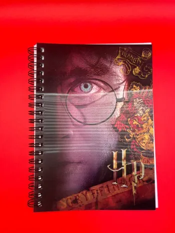 Carnet 3D Harry Potter