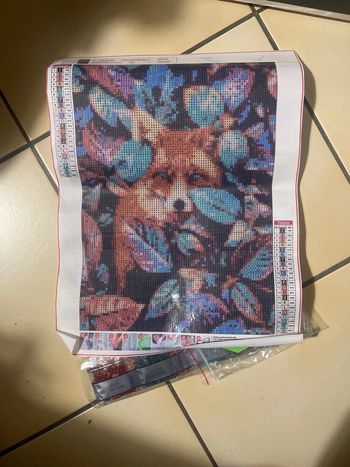 Toile Diamond Painting 30x40cm n°48