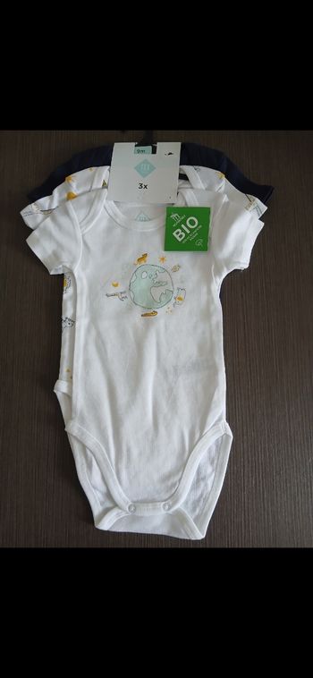 Lot 3 bodies garçon manches courtes tex baby 71 cm 9 mois