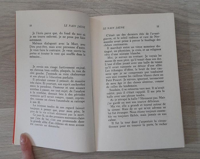 Pascal jardin le nain jaune - photo numéro 4