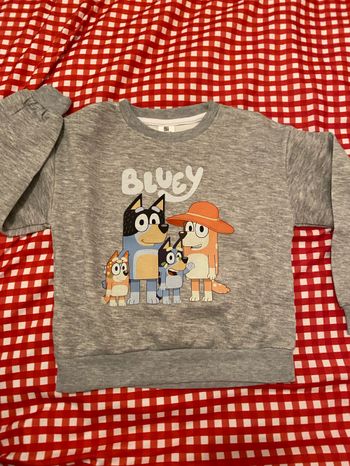 Sweat bluey